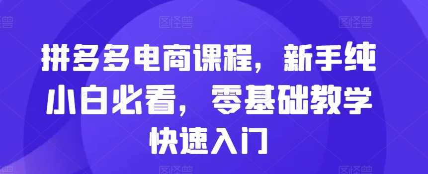 拼多多电商课程，新手纯小白必看，零基础教学快速入门-玻哥网络技术工作室