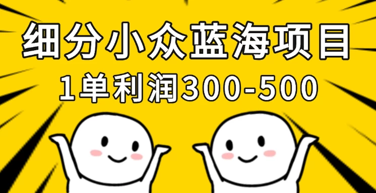 细分小众蓝海项目，一单利润300-500，每月收入稳定4w+-玻哥网络技术工作室