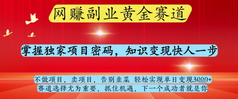 网创副业黄全赛道，掌握独家项目密码，知识变现快人一步，告别韭菜轻松实现单日变现1k+【揭秘】-玻哥网络技术工作室