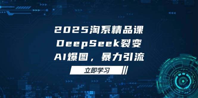 2025 淘系精品课，DeepSeek 裂变，AI 爆图，暴力引流-玻哥网络技术工作室