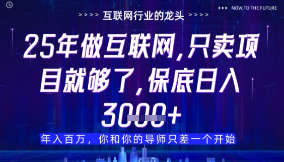 什么！25年你还在找项目做？风口早就变了，卖项目才是稳挣不赔【揭秘】-玻哥网络技术工作室