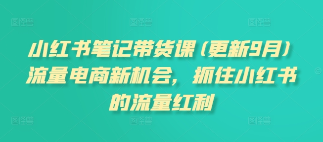 小红书笔记带货课(更新25年4月)流量电商新机会，抓住小红书的流量红利-玻哥网络技术工作室