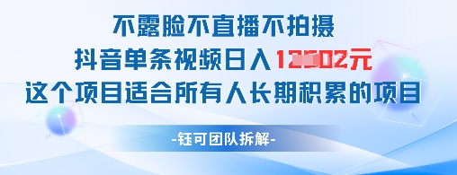 不露脸不直播不拍摄抖音单条视频日入1k+这个项目适合所有人长期积累的项目-玻哥网络技术工作室