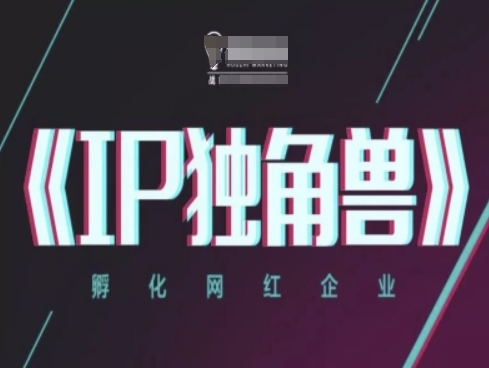 IP独角兽，孵化网红企业，ip教程-玻哥网络技术工作室