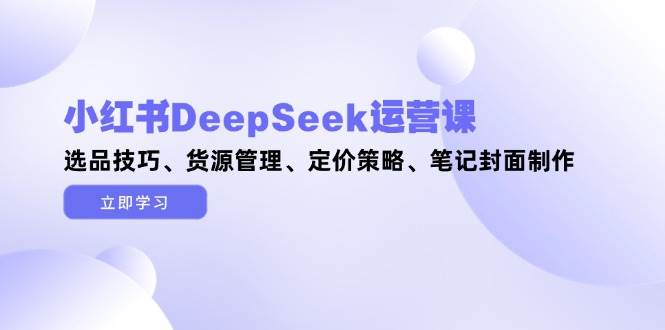 小红书DeepSeek运营课，选品技巧、货源管理、定价策略、笔记封面制作-玻哥网络技术工作室