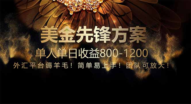 免费技术！小众赛道！一年布局抵三年努力，每日800+-玻哥网络技术工作室