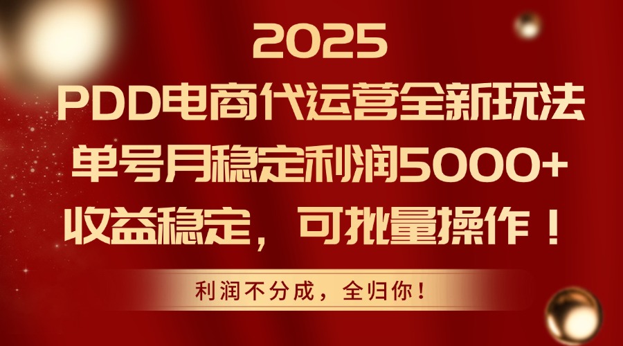 2025PDD电商代运营全新玩法，单号月稳定利润5000+，收益稳定，可批量操作-玻哥网络技术工作室