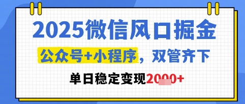 2025微信风口掘金，公众号+小程序双管齐下，单日稳定变现1k+【揭秘】-玻哥网络技术工作室