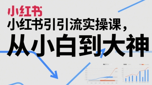 小红书引流实操课，从小白到大神-玻哥网络技术工作室