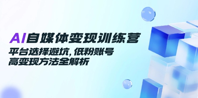 AI自媒体变现训练营，平台选择避坑，低粉账号高变现方法全解析-玻哥网络技术工作室