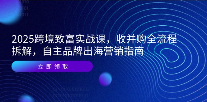 2025跨境致富实战课，收并购全流程拆解，自主品牌出海营销指南-玻哥网络技术工作室