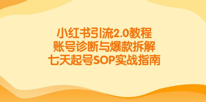 小红书引流2.0教程，账号诊断与爆款拆解，七天起号SOP实战指南-玻哥网络技术工作室