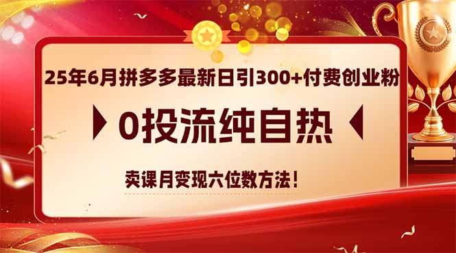 25年6月拼多多最新日引300+付费创业粉，0投流纯自热 卖课月变现六位数方法-玻哥网络技术工作室