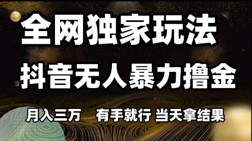 全网独家玩法抖音无人暴力撸金，月入3W，有手就行，当天拿结果【揭秘】-玻哥网络技术工作室