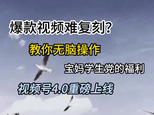 视频号4.0重磅上线，爆款视频难复刻？教你无脑操作宝妈学生党的福利【揭秘】-玻哥网络技术工作室