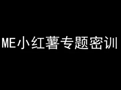 ME小红薯专题密训-小红书电商教程-玻哥网络技术工作室
