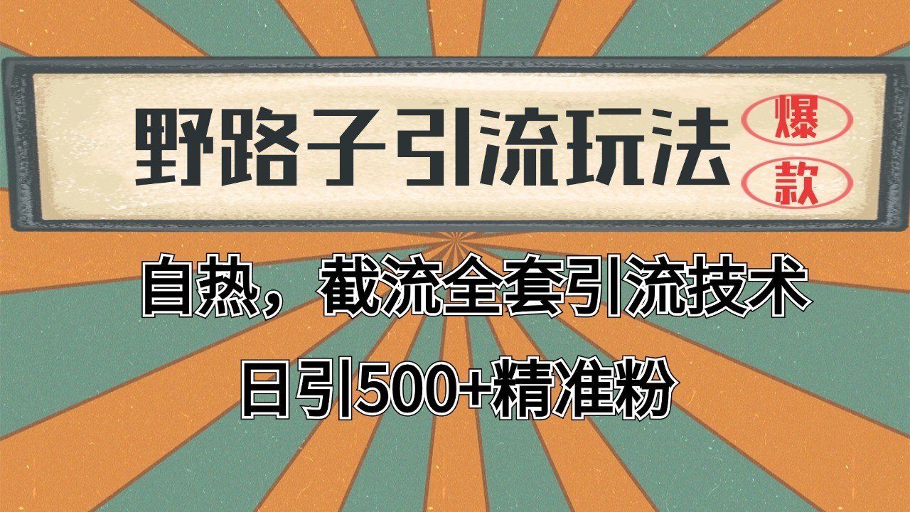 2024首发野路子引流玩法截流自热全平台打法，全自动引流【日引2000+精准客户】-玻哥网络技术工作室