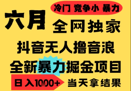 25年6月高爆抖音无人直播最新撸音浪掘金项目，小白可做，无脑日入1k+，门槛低可批量矩阵【揭秘】-玻哥网络技术工作室