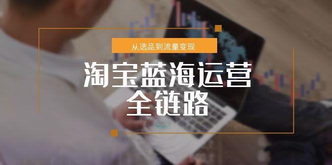 淘宝蓝海运营全链路，从选品到流量变现，小类目突围完整方案-玻哥网络技术工作室