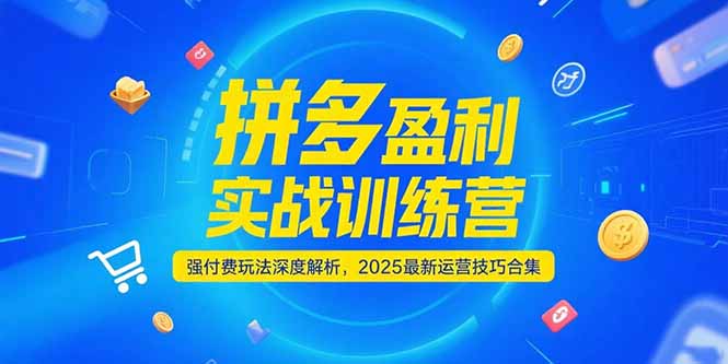 拼多多盈利实战训练营，强付费玩法深度解析，2025运营技巧合集-更新6月-玻哥网络技术工作室