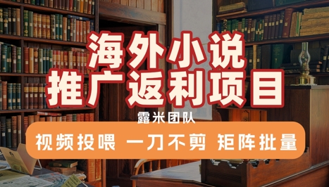 海外小说推广返利项目，视频投喂， 一刀不剪，矩阵批量-玻哥网络技术工作室